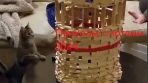 Приколы с котами 2025! | КОТЯРА