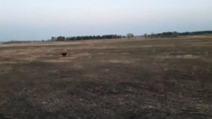 Весенняя охота в Омской области май 2021