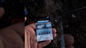 Павлопольское Водохранилище 31.10.2021год