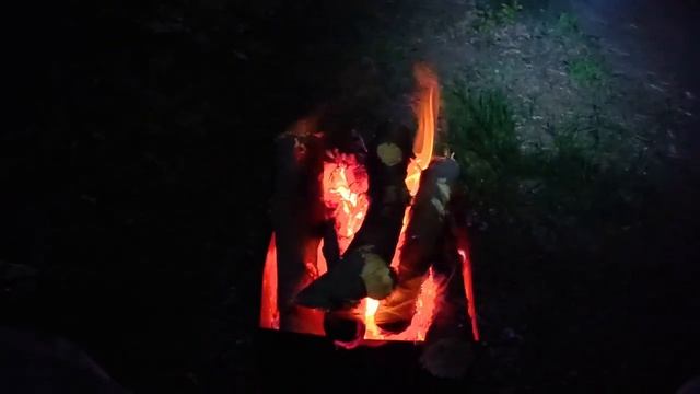 ПЕРВАЯ СУТОЧНАЯ РЫБАЛКА В НОВОМ СЕЗОНЕ! МОЩНЫЙ КЛЁВ КРУПНОГО КАРАСЯ(Рыбалка в Кантемировке ч.2) смотреть онлайн