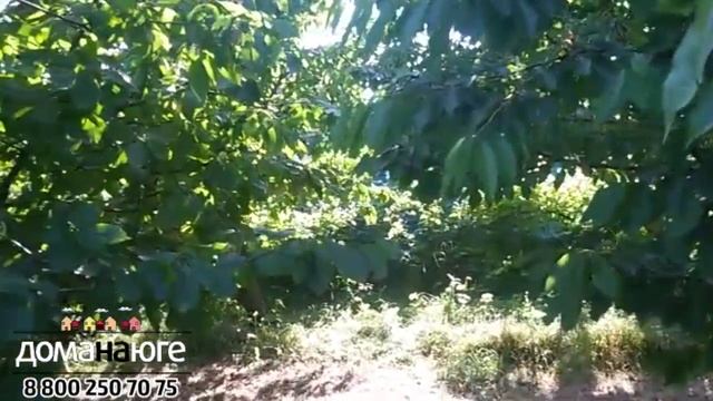 Темрюк - Купить участок с садом в Старотитаровской - Строительная компания Дома на Юге смотреть онлайн