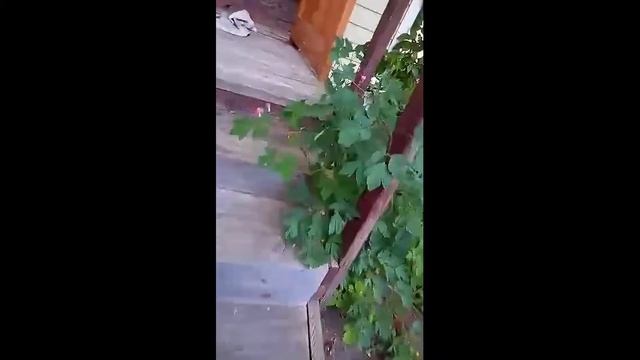 часть 1 объект №07/02-2018 смотреть онлайн