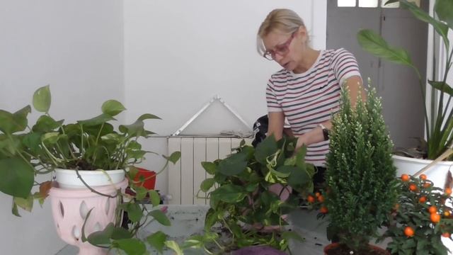 ВЛОГ ✅ Приображение кухни О боже? САЖУ Цветы в Подъезде?Какой срач