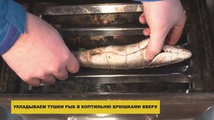 Попробуй! Копченый на мангале сибас и домашняя секретная закуска