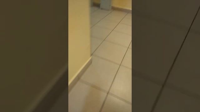 Обзор 25 этажного ЖК Европейский-4 (Шелдом-Север) - с панорамным видом на весь Саратов (ДОМ.РУ)