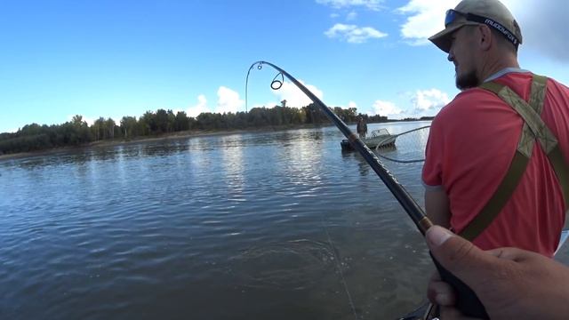 МЛЯЯ,,,КРОКОДИЛ СЕЛ НА ЛАЙТ ДО 21 г!!!Трофейная рыбалка!Крупная щука!осенний жор хищника. смотреть онлайн