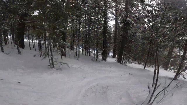 mratkino лес без шлема смотреть онлайн