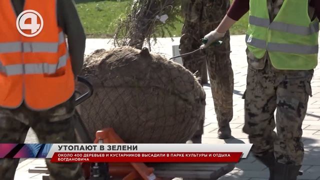 Около 400 деревьев и кустарников высадили в Парке культуры и отдыха Богдановича