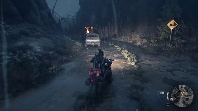 Days Gone №8