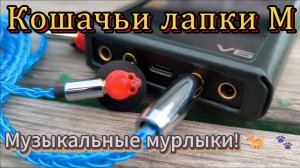 Кошачьи лапки M - Музыкальные мурлыки! 🐈 🐾