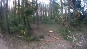 Урал 5557 лесовоз. Внезапная поездка.