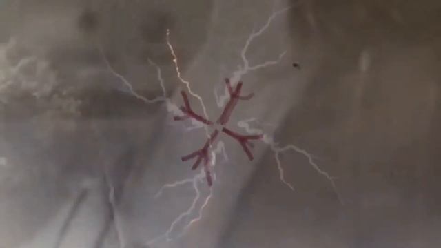 Кто придумал название Внучка Однокнопочного рака смотреть онлайн