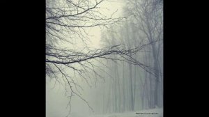 ЧЁРНО-БЕЛАЯ КРАСОТА