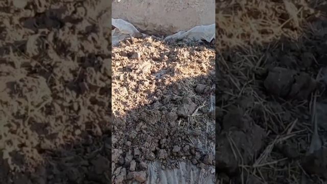 Формуем кирпичи смотреть онлайн