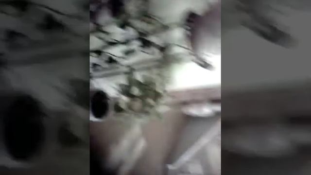 Я праверяю южный дом