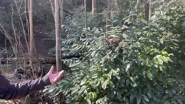 La Quotidienne du lundi 6 mars 2023 смотреть онлайн