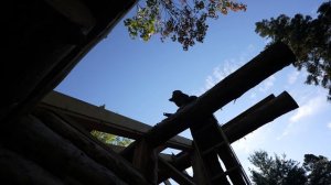 Building an Off Grid Log Cabin Alone in the Wilderness, Ep20, Roof Framing is Finished