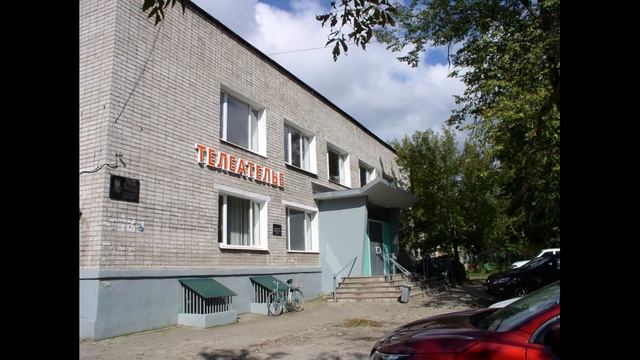 Михал Палыч - Реальное телеателье (Мегапиксель) смотреть онлайн