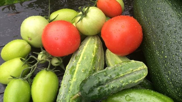 Патиссоны, кабачки / Собираю урожай каждый день смотреть онлайн