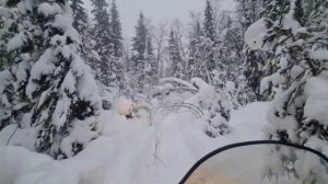 Stels Viking vs BRP tundra 300. Дорога к соболям. Январь 2023.