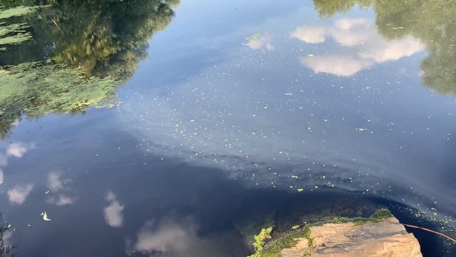 Загрязнение реки Дон смотреть онлайн