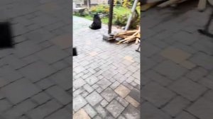 Первый мотоцикл BENDA LFC700 в Казахстане