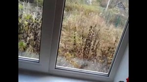 Окна ПВХ. Осмотр и приёмка. Как осмотреть окно и на что обратить внимание!