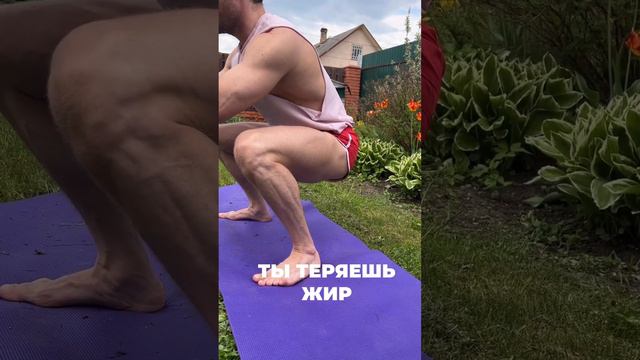 Ежовик Гребенчатый смотреть онлайн