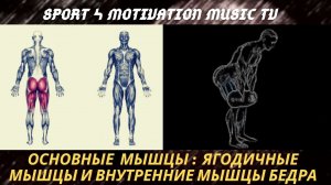 Мертвая тяга с гантелями. Техника выполнения.