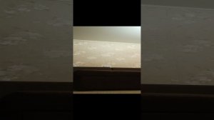 бриллиантовая рука после ресторана