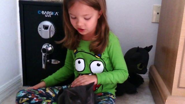 как правильно держать кошку, как кошку брать в руки смотреть онлайн