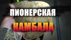 Камбала на День пионерии на 13 км