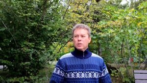 Жгон. Опора. Энергетическая ось человека
