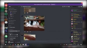 | РЕШЕНО! | ДУБЛИРУЕТСЯ звук донатов на стриме в OBS! | Sergobrat