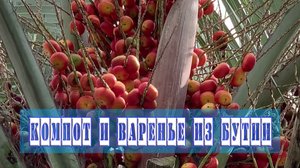 Варенье и компот из плодов пальмы Бутии Головчатой.