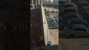 Ворона напала на голубя. И ест живьём!!! Шок!