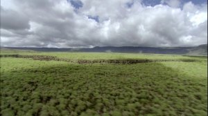 BBC Galapagos 1 