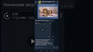 Как через телеграм загружать видео из YouTube