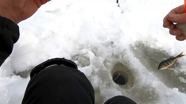 Рыбалка на озере! Ловля Окуня в ГлухоЗимье! Озеро Таежное - День Первый!