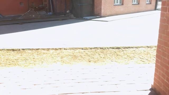 Улыбнитесь, вас снимают! смотреть онлайн