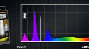 Zoo Med ReptiSun® UVB/LED