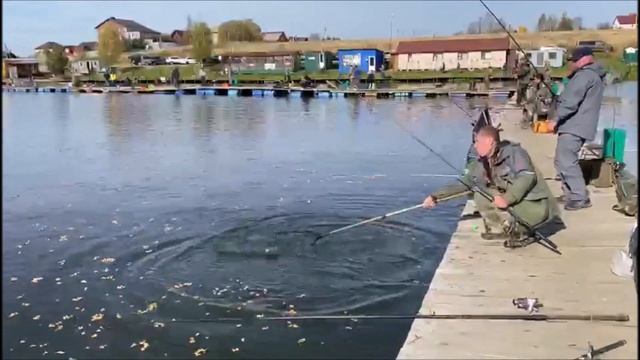 2 сектор вступает в игру)) Голодная форель желает кушать! Клевое место, д. Савельево смотреть онлайн