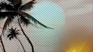 Лето. Закат. Пальмы море пальма видео заставка