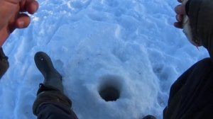 КРУПНЫЙ ОКУНЬ НА МОРМЫШКУ И БАЛАНСИР. Ловля окуня.Зимняя рыбалка 2022.Рыбалка на ОБИ.