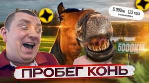 Конский пробег и милостыня в зарплату | #яндексдоставка #подработка #яндексэкспресс #доставканаавто