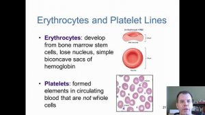 Unit 4. Chapter 14. Innate Immunity