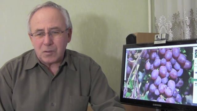 @ДНОК обработка растений, ДНОК инсектофунгицид смотреть онлайн