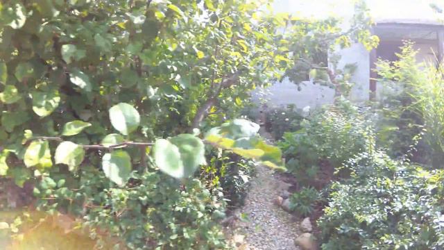 Наш сад 21.08.18 смотреть онлайн