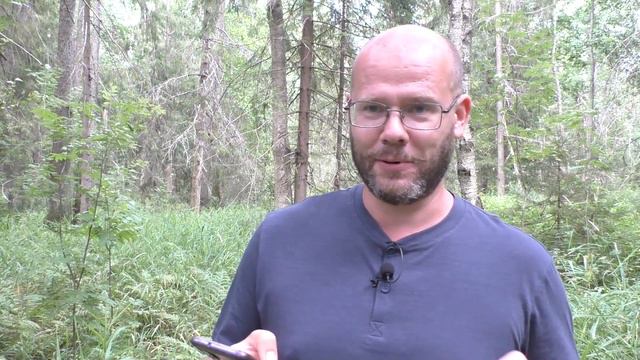 Шекспир, сонет 39 смотреть онлайн