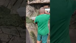 Удивительнейший Экзотариум живности в парке Лога